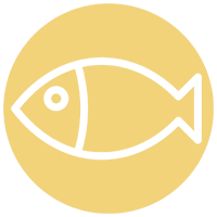 Icona pesce